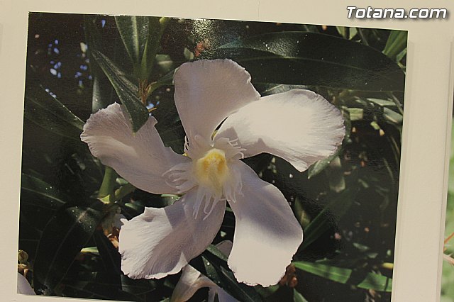 Exposicin fotogrfica Naturaleza cercana - Jos Mara Campos - 86