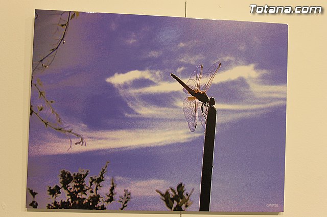 Exposicin fotogrfica Naturaleza cercana - Jos Mara Campos - 88