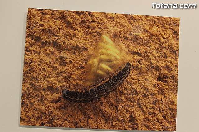 Exposicin fotogrfica Naturaleza cercana - Jos Mara Campos - 89