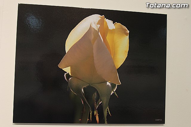 Exposicin fotogrfica Naturaleza cercana - Jos Mara Campos - 90