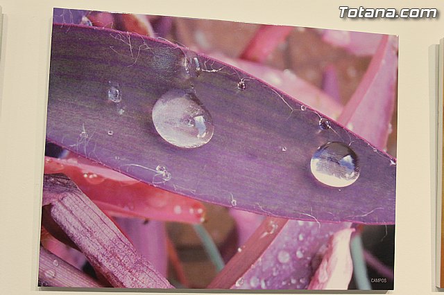 Exposicin fotogrfica Naturaleza cercana - Jos Mara Campos - 92