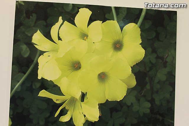 Exposicin fotogrfica Naturaleza cercana - Jos Mara Campos - 94