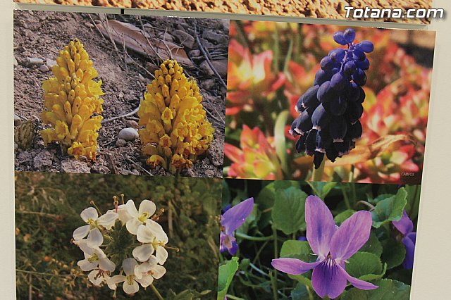 Exposicin fotogrfica Naturaleza cercana - Jos Mara Campos - 95