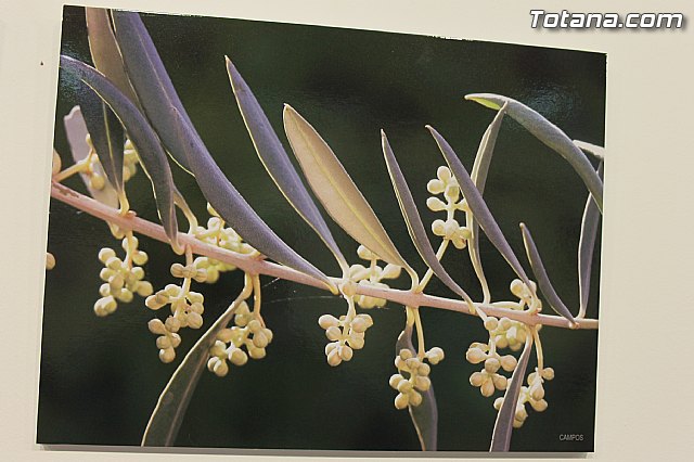 Exposicin fotogrfica Naturaleza cercana - Jos Mara Campos - 97