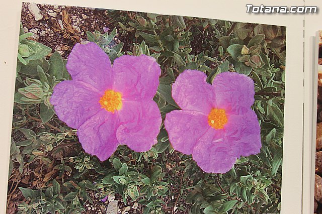 Exposicin fotogrfica Naturaleza cercana - Jos Mara Campos - 99