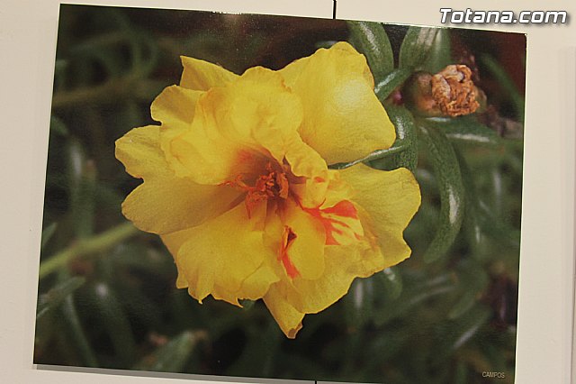 Exposicin fotogrfica Naturaleza cercana - Jos Mara Campos - 101