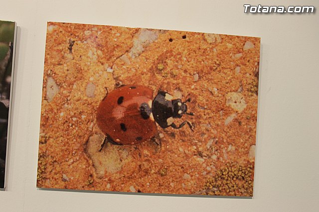 Exposicin fotogrfica Naturaleza cercana - Jos Mara Campos - 102