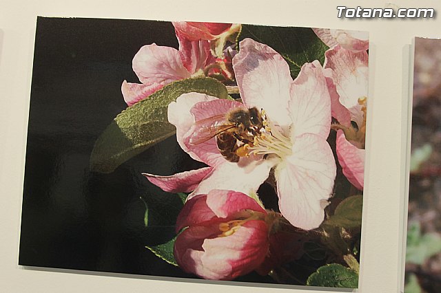 Exposicin fotogrfica Naturaleza cercana - Jos Mara Campos - 104