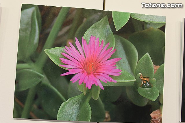 Exposicin fotogrfica Naturaleza cercana - Jos Mara Campos - 105