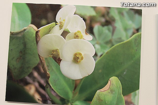 Exposicin fotogrfica Naturaleza cercana - Jos Mara Campos - 106