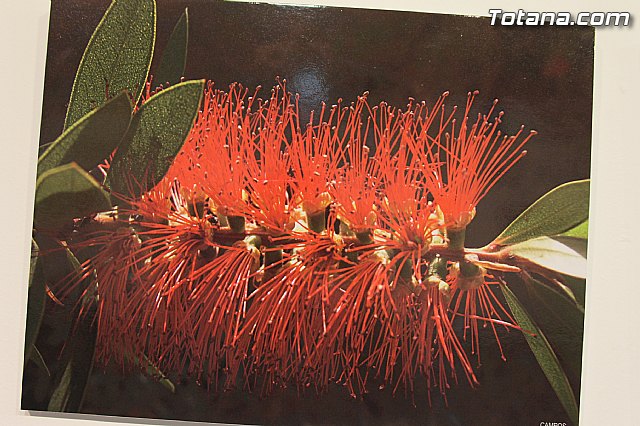 Exposicin fotogrfica Naturaleza cercana - Jos Mara Campos - 111