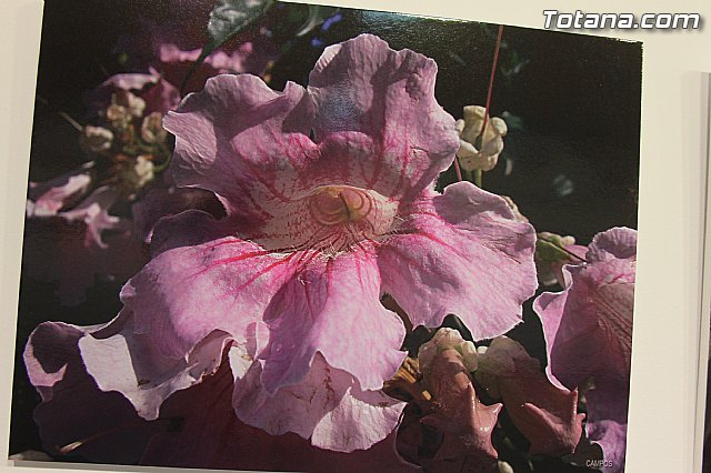 Exposicin fotogrfica Naturaleza cercana - Jos Mara Campos - 112