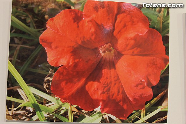 Exposicin fotogrfica Naturaleza cercana - Jos Mara Campos - 113