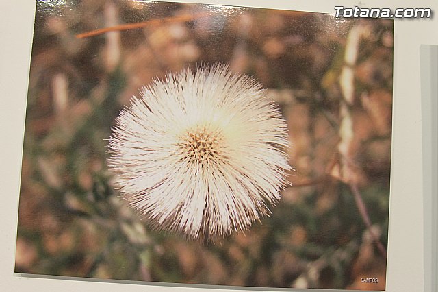 Exposicin fotogrfica Naturaleza cercana - Jos Mara Campos - 115