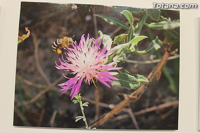 Exposicin fotogrfica Naturaleza cercana - Jos Mara Campos - 116