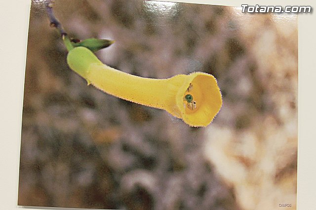 Exposicin fotogrfica Naturaleza cercana - Jos Mara Campos - 117