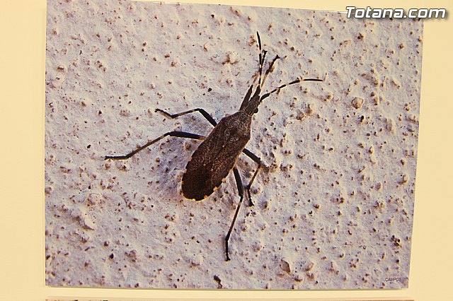 Exposicin fotogrfica Naturaleza cercana - Jos Mara Campos - 119