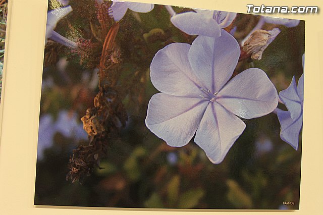 Exposicin fotogrfica Naturaleza cercana - Jos Mara Campos - 121