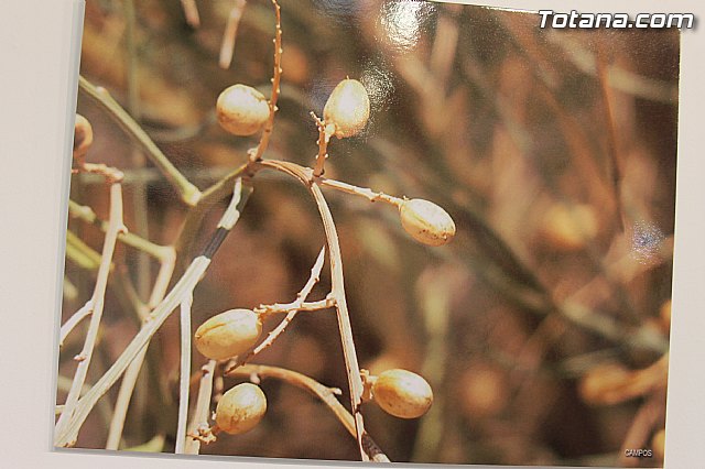 Exposicin fotogrfica Naturaleza cercana - Jos Mara Campos - 123