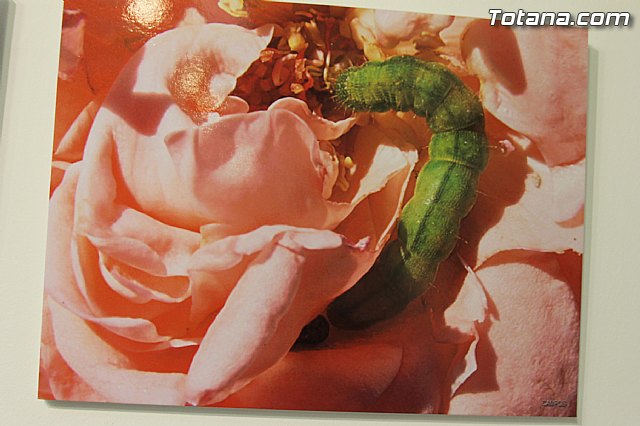 Exposicin fotogrfica Naturaleza cercana - Jos Mara Campos - 124