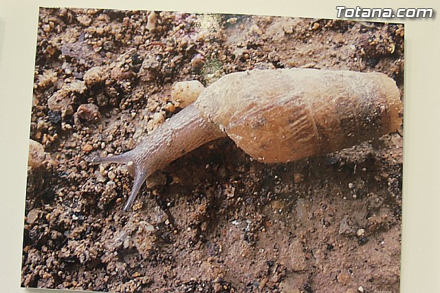 Exposicin fotogrfica Naturaleza cercana - Jos Mara Campos - 125