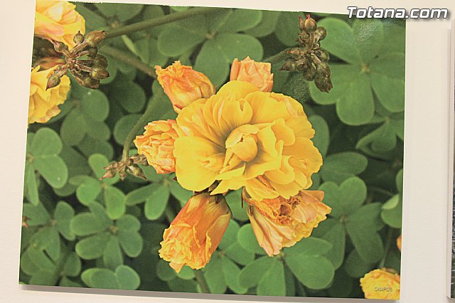 Exposicin fotogrfica Naturaleza cercana - Jos Mara Campos - 127