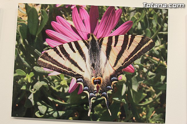 Exposicin fotogrfica Naturaleza cercana - Jos Mara Campos - 128