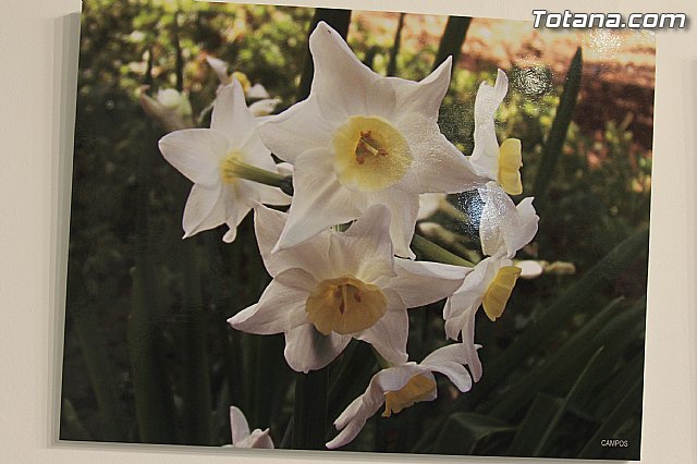 Exposicin fotogrfica Naturaleza cercana - Jos Mara Campos - 130