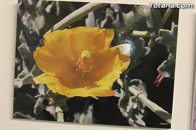 Exposicin fotogrfica Naturaleza cercana - Jos Mara Campos - 131