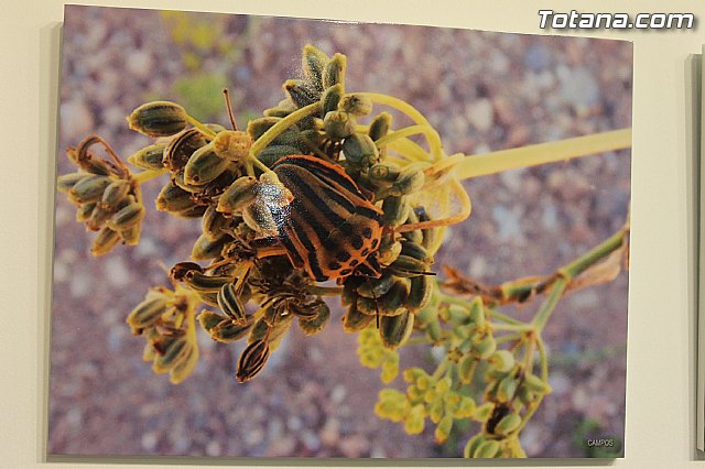Exposicin fotogrfica Naturaleza cercana - Jos Mara Campos - 132