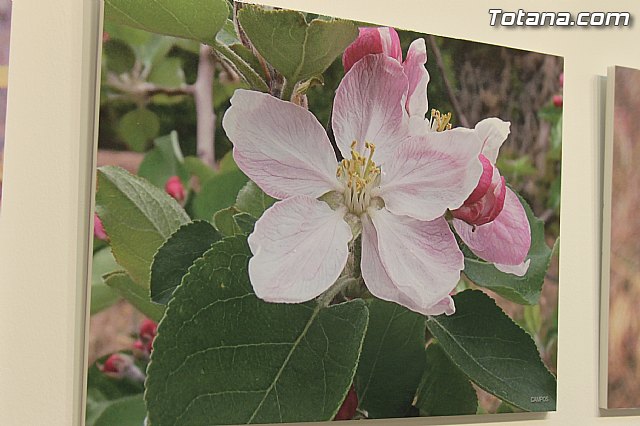Exposicin fotogrfica Naturaleza cercana - Jos Mara Campos - 133
