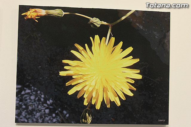 Exposicin fotogrfica Naturaleza cercana - Jos Mara Campos - 135