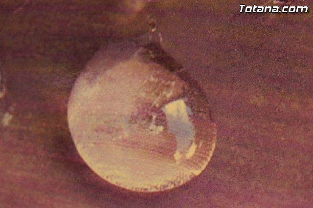 Exposicin fotogrfica Naturaleza cercana - Jos Mara Campos - 139