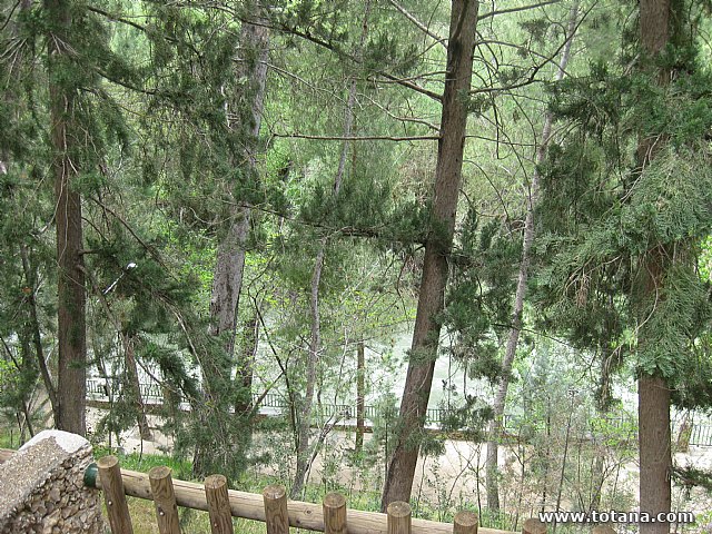 Viaje a Caravaca y Calasparra - Asociacin 