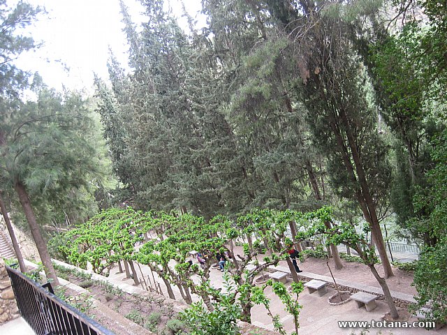 Viaje a Caravaca y Calasparra - Asociacin 