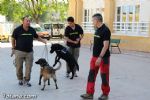 unidad canina