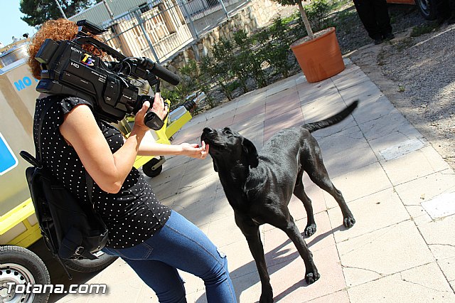 Presentacin de la nueva Unidad Canina de Proteccin Civil - 13