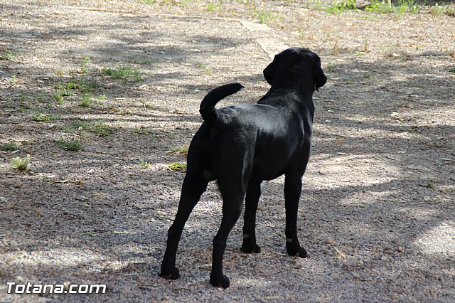 Presentacin de la nueva Unidad Canina de Proteccin Civil - 15
