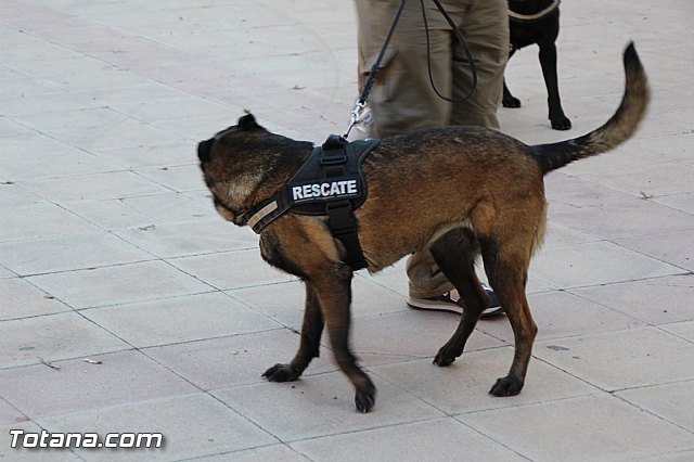 Presentacin de la nueva Unidad Canina de Proteccin Civil - 43