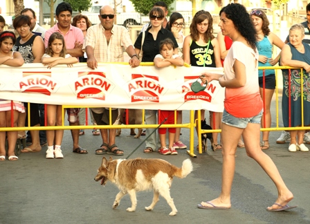 I Encuentro Canino 