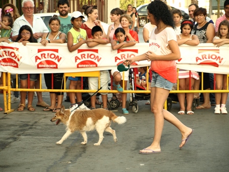 I Encuentro Canino 