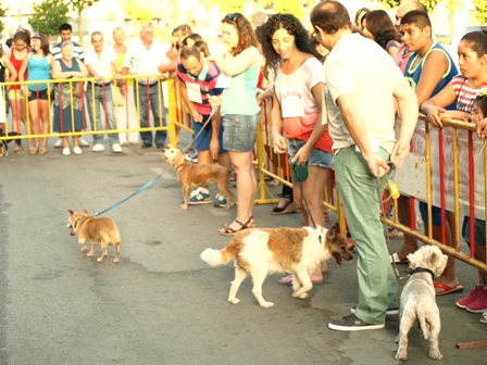 I Encuentro Canino 