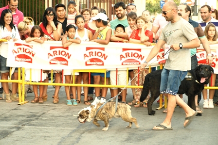 I Encuentro Canino 