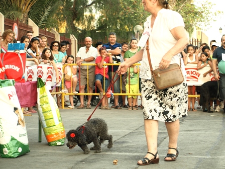 I Encuentro Canino 