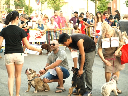 I Encuentro Canino 