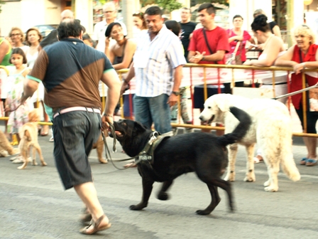 I Encuentro Canino 
