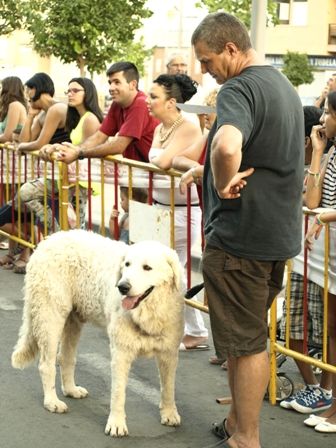I Encuentro Canino 