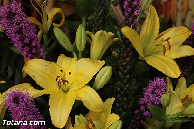 Procesin El Paretn-Cantareros 2012 - 12