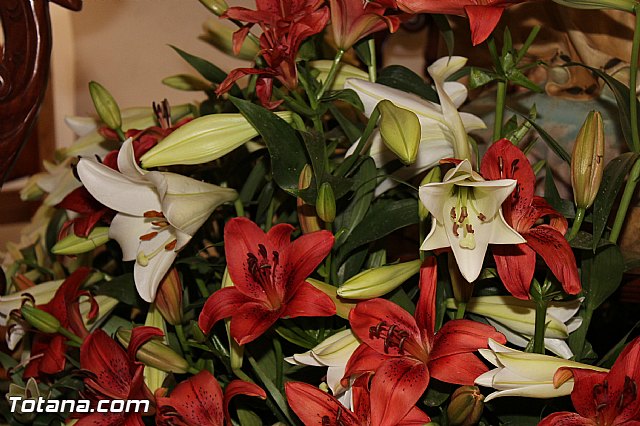 Procesin El Paretn-Cantareros 2012 - 19