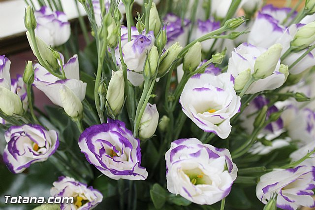 Procesin El Paretn-Cantareros 2015 - 7